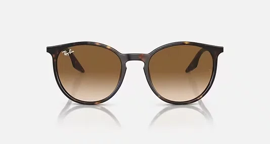 Óculos de Sol Havana Rayban RB2204