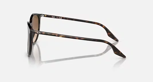 Óculos de Sol Havana Rayban RB2204