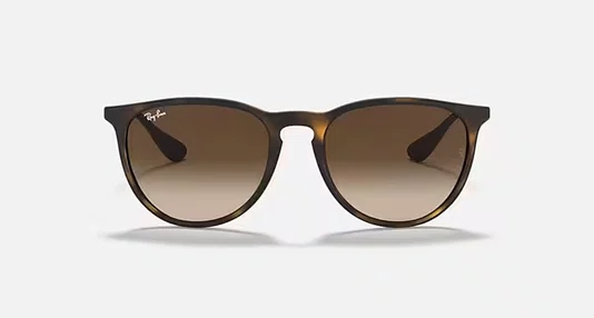 OCULOS RAYBAN ERIKA CLASSIC HAVANA PRETO