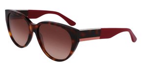 OCULOS DE SOL LACOSTE SUNS HAVANA E BORDO