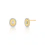 Brinco oval em Ouro Amarelo com Diamante.