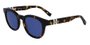Óculos de Sol Lacoste Dark Havana