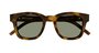 OCULOS DE SOL SAINT LAURENT HAVANA GREY MARROM