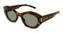 OCULOS SAINT LAURENT HAVANA GREEN PRETO