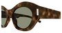 OCULOS SAINT LAURENT HAVANA GREEN PRETO