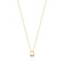 Colar Solitário em Ouro Amarelo com Diamante